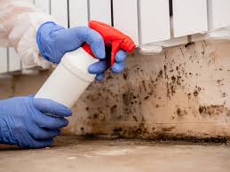 Trusted Homestead Valley, CA Mold Remediation Experts